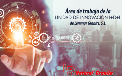 Plan de Innovación de Lemmar Granite